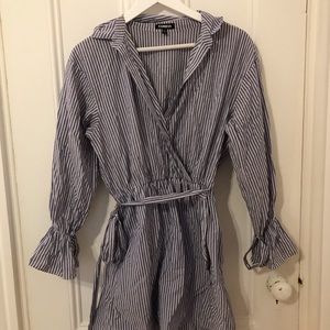 Express Pinstripe Dress